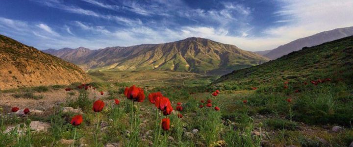 دشت لار؛ بهشت گمشده تو دامن دماوند